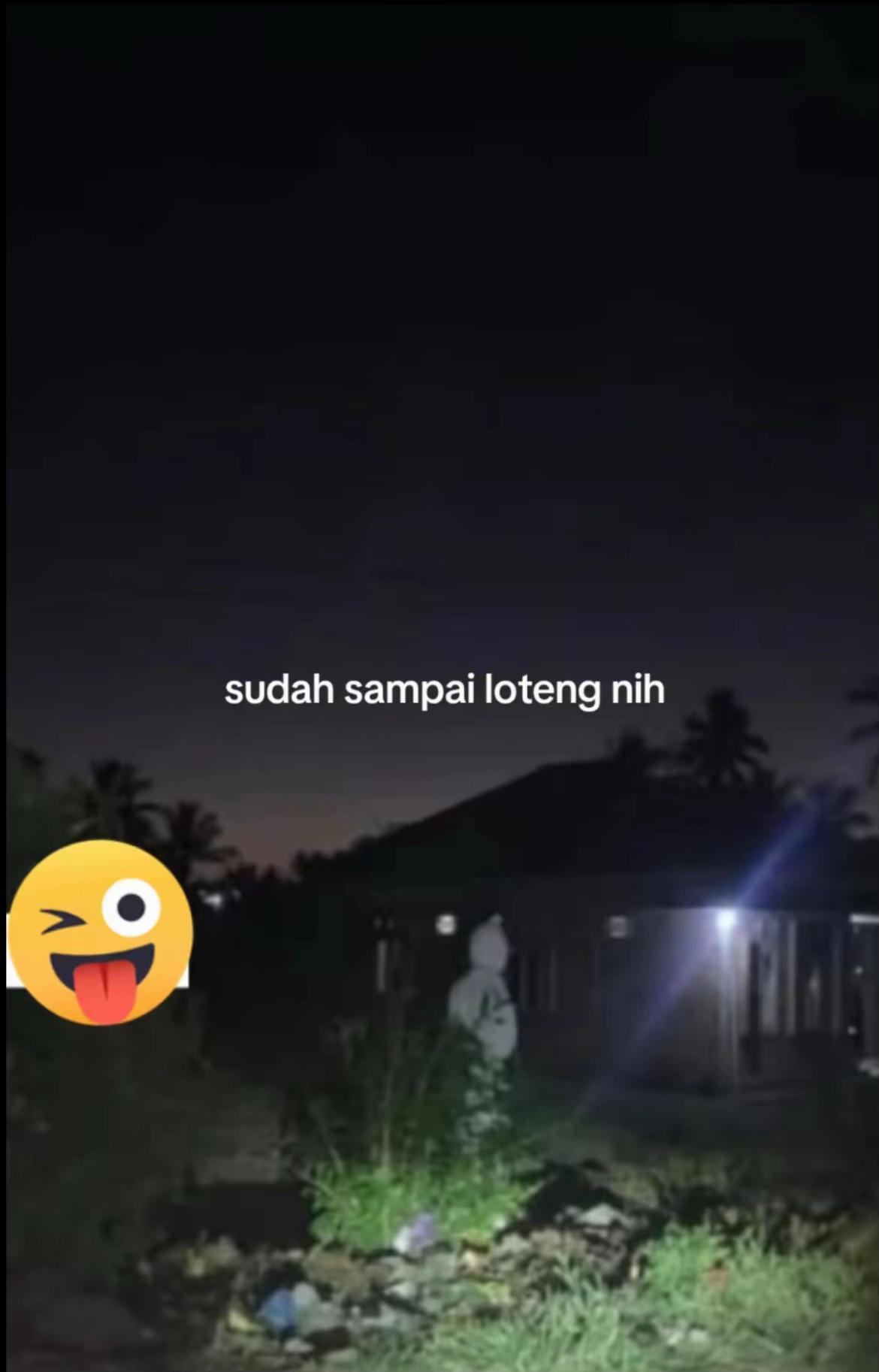 @lunless🕷️