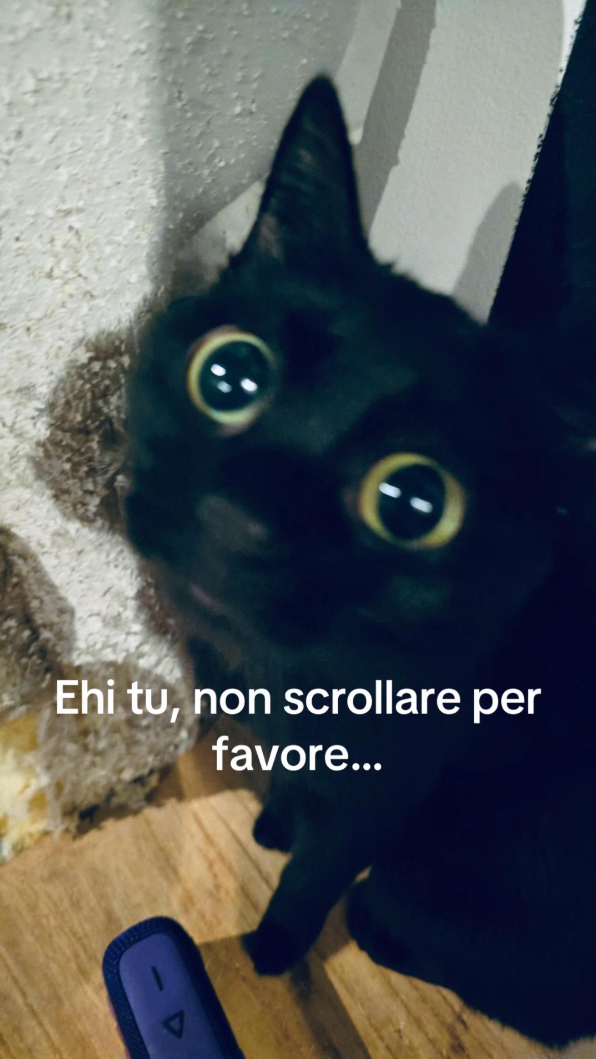 @Eleonora