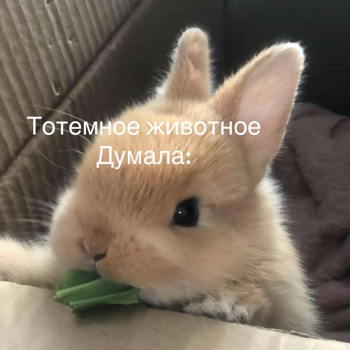 @Lerk