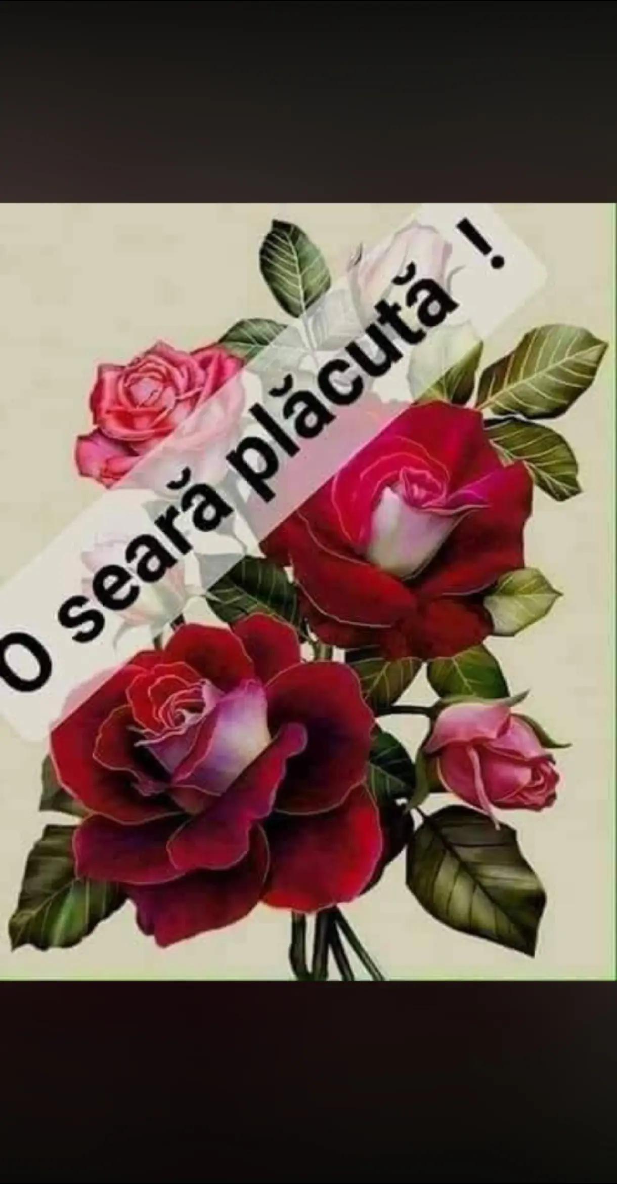 @𝓜𝓲𝓱𝓪𝓲 &hearts;️