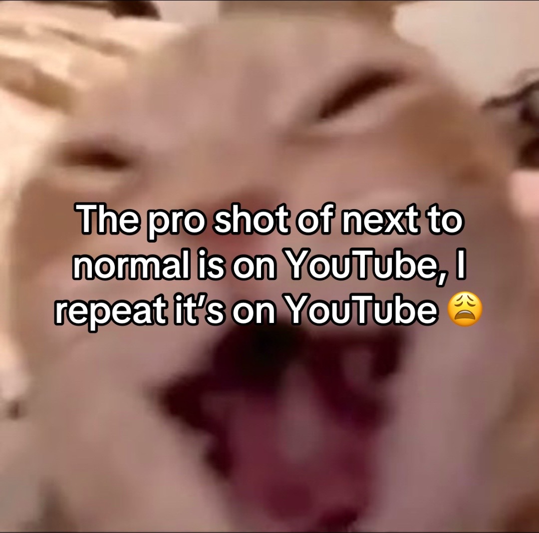 @Lisa 🪼