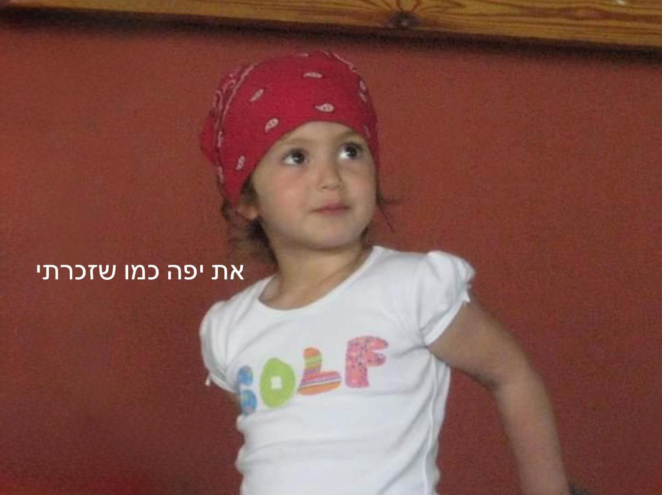 @Arbel Sela