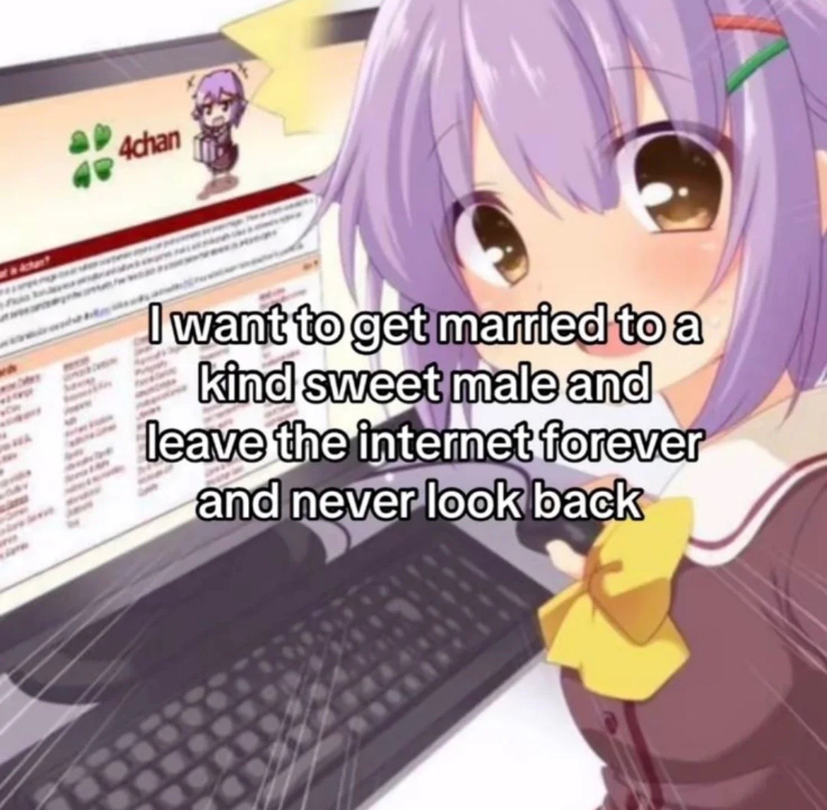 @miya