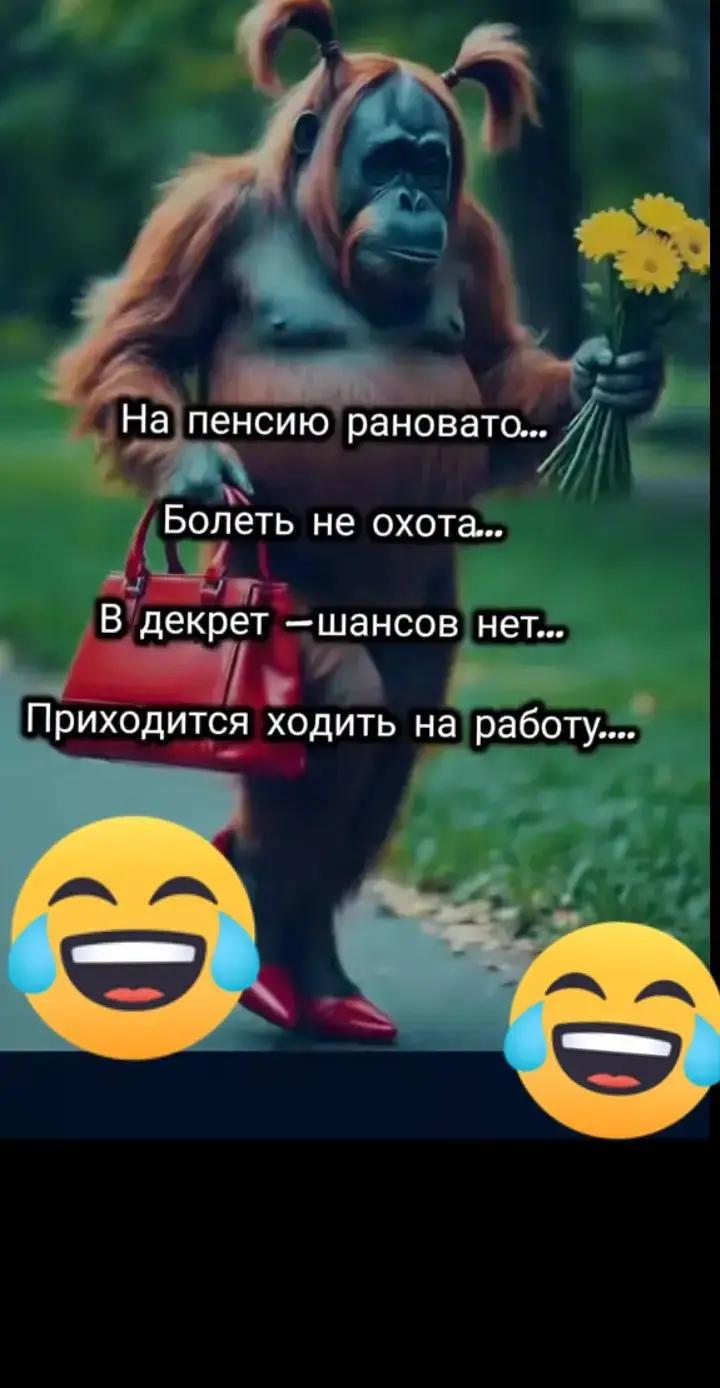 @❤️❤️ЛюбовьМорковь❤️❤️
