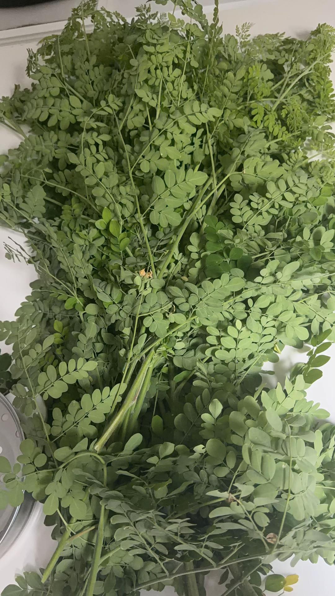 @🍏🥦🥑lovelyrose🍏🥦🥝