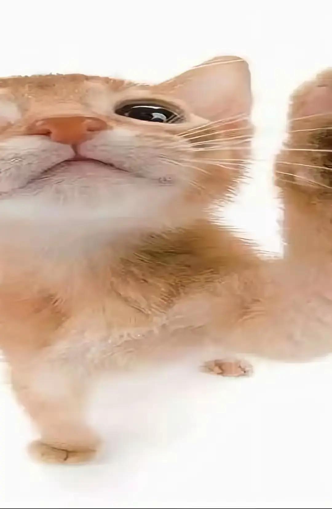@ony1z