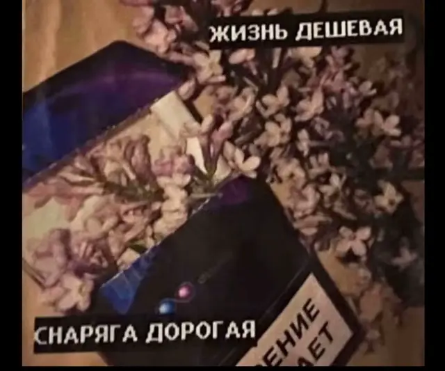 @_boxer_