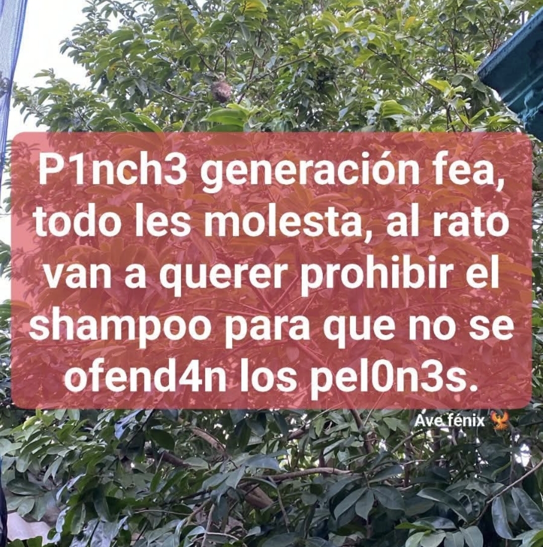 @Leonardo Peña