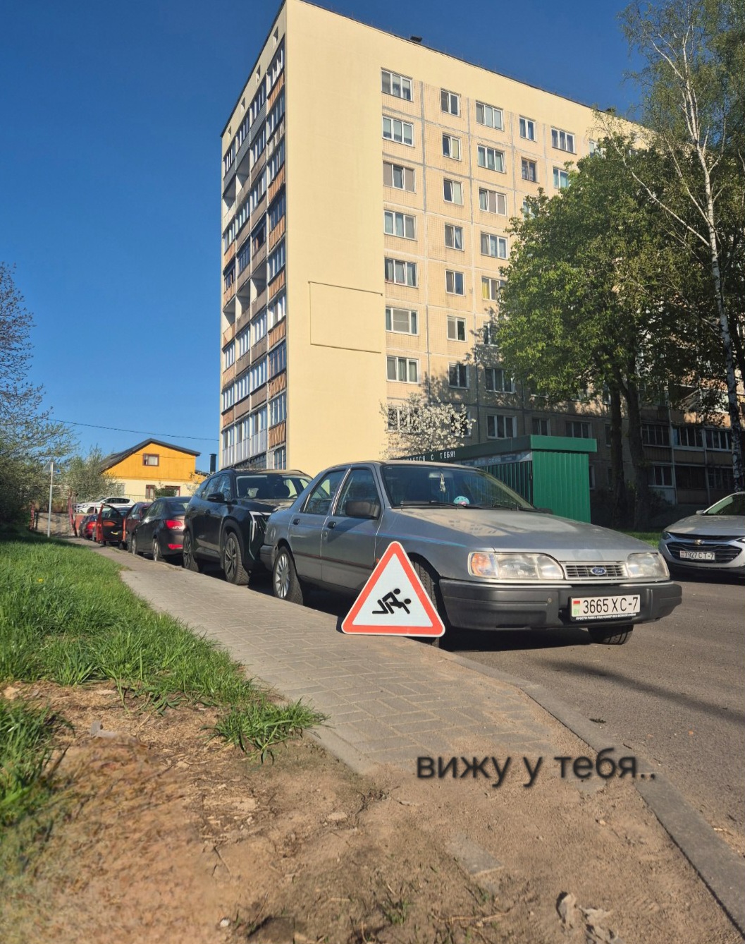@Свиная вошь