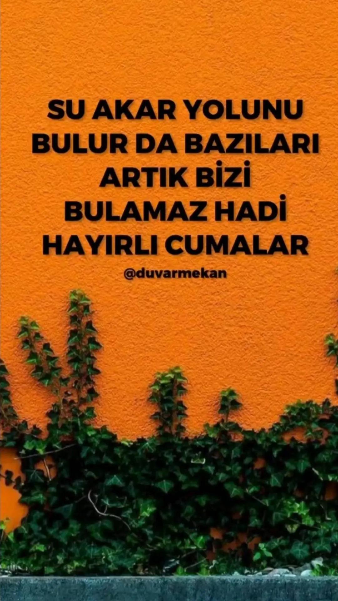 @nurbjk
