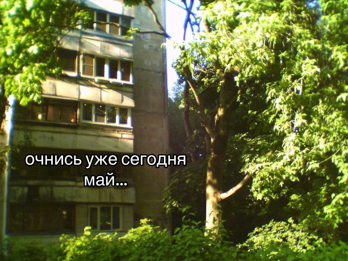 @lonely