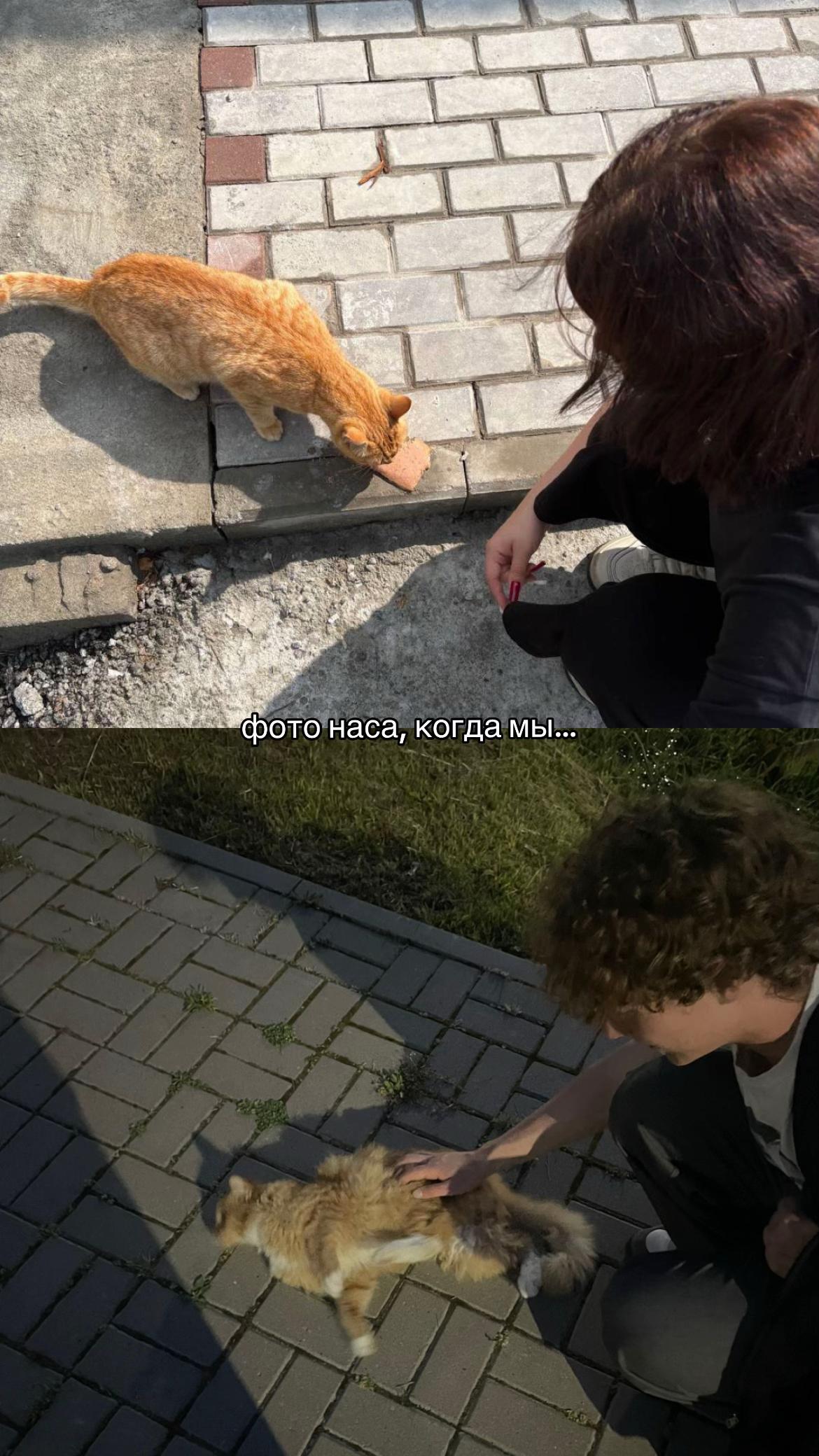 @ариночк