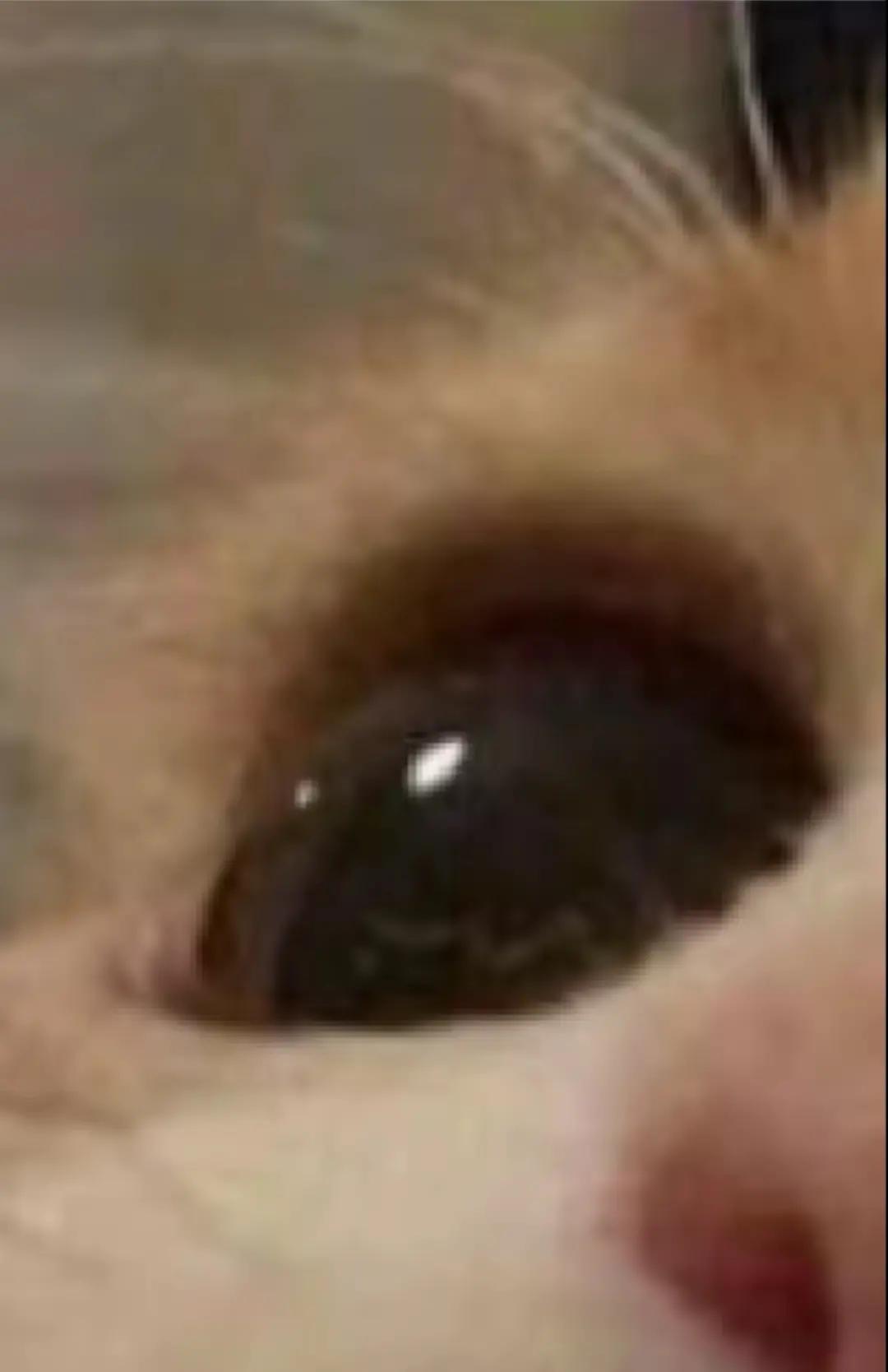 @ᯓxruii0ᯓ