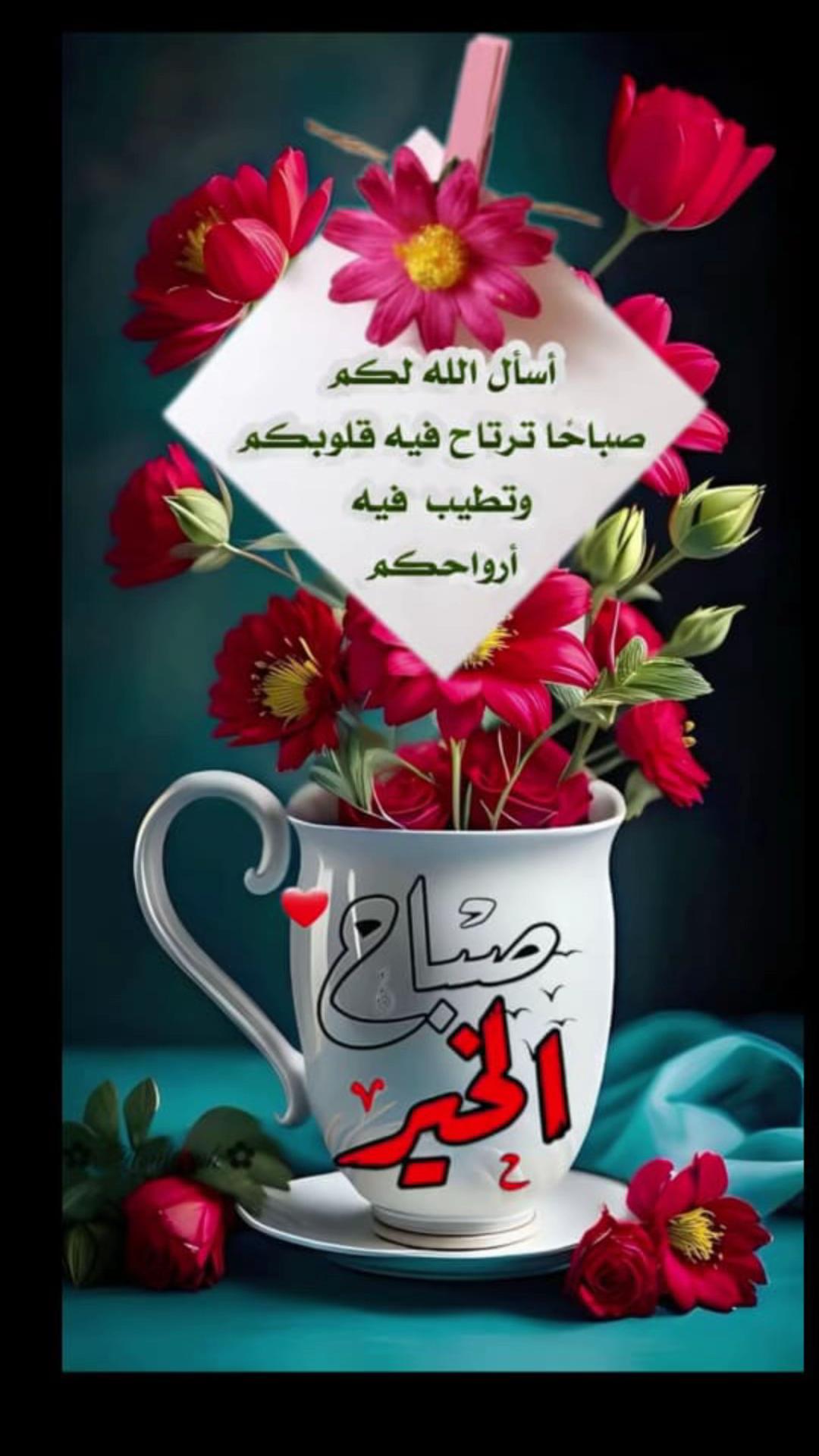 @abohashem123