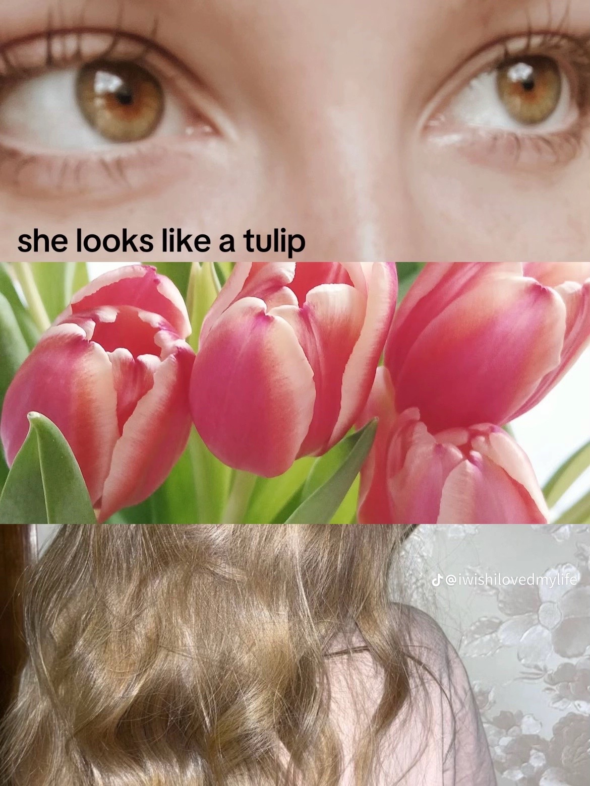 @๐๐๐๐๐๐ชฝ