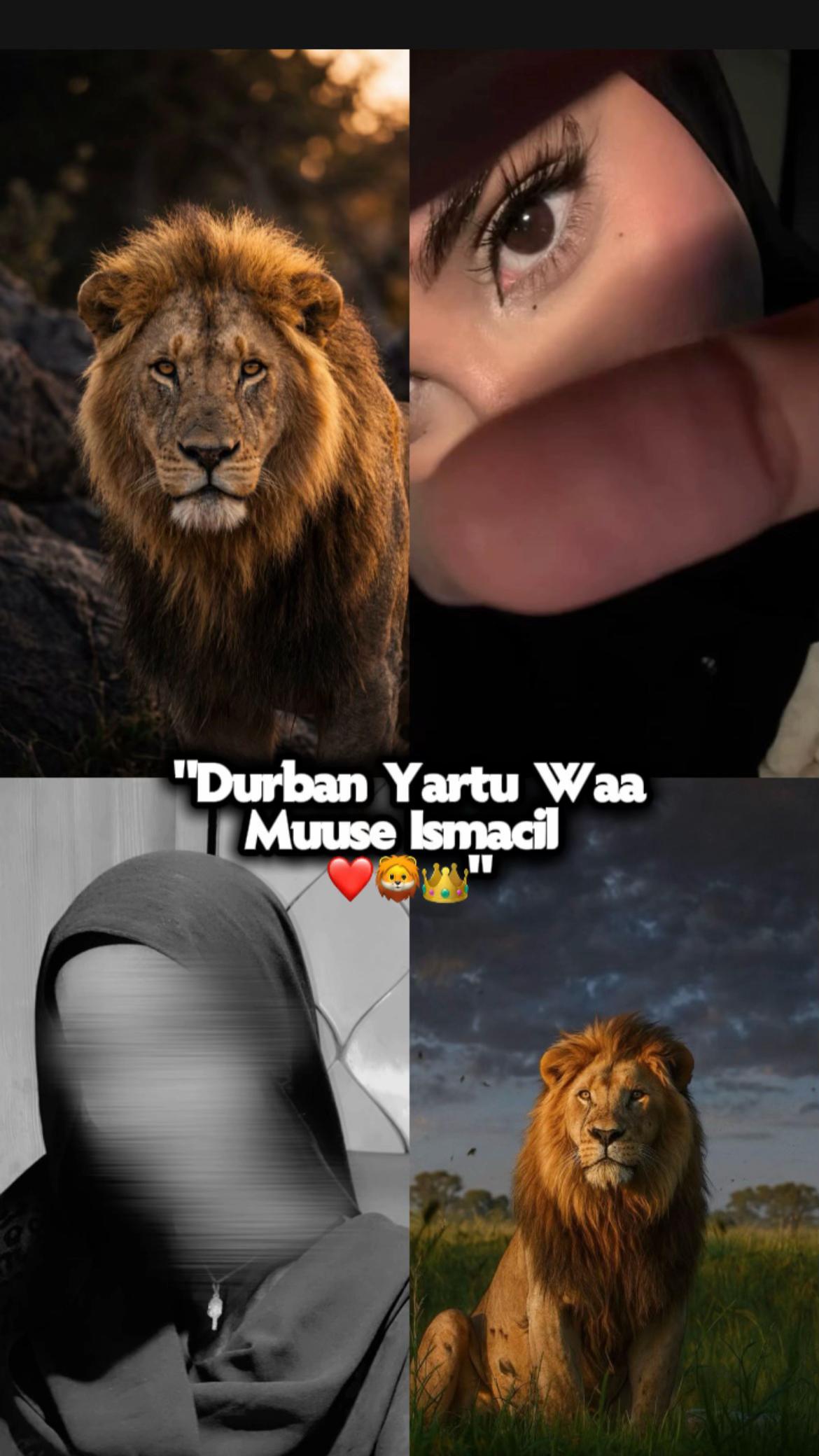 @𝐐𝐚𝐦𝐚𝐫𝐢👸🏻🦁