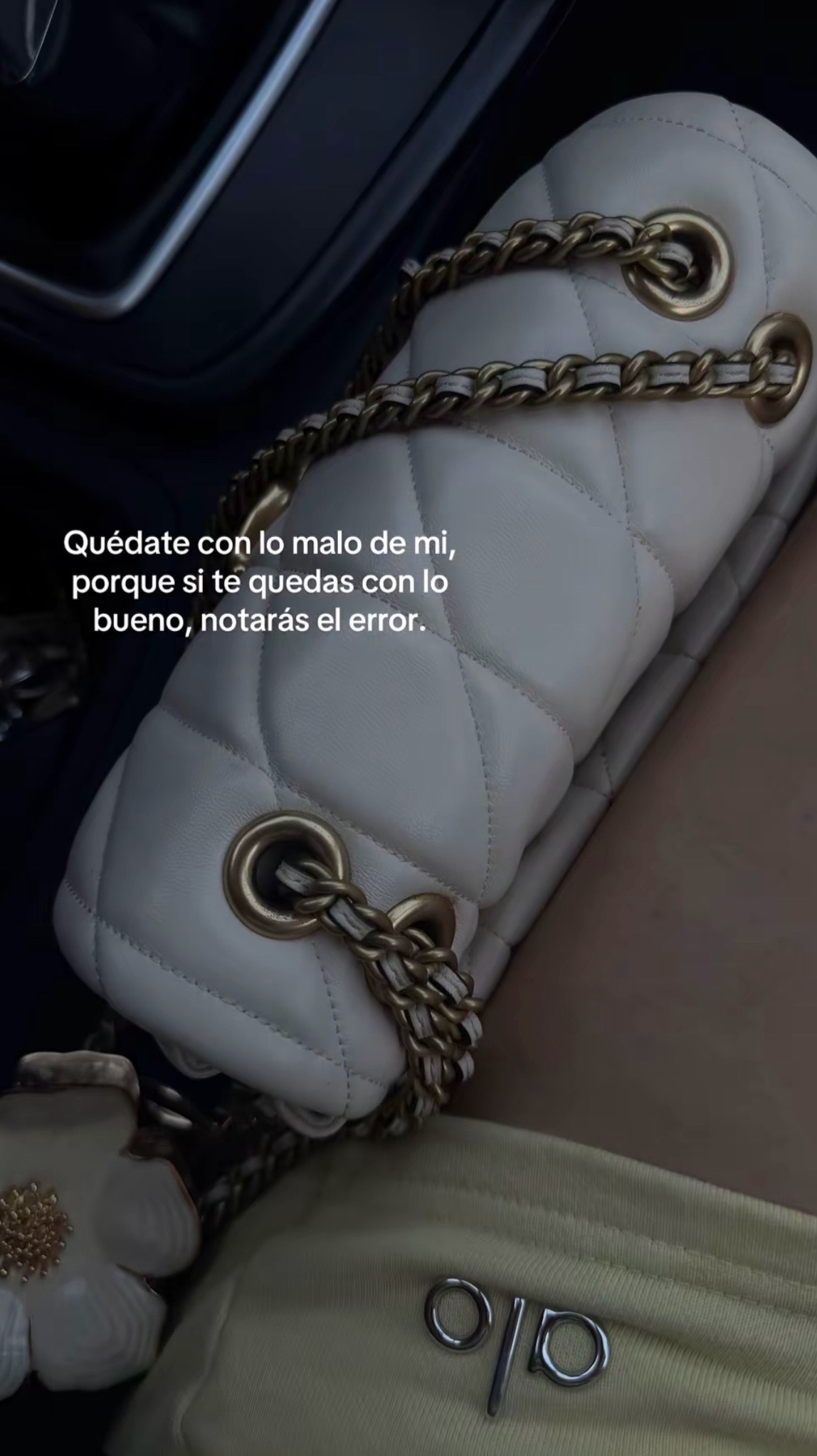@veronicagarcia8424