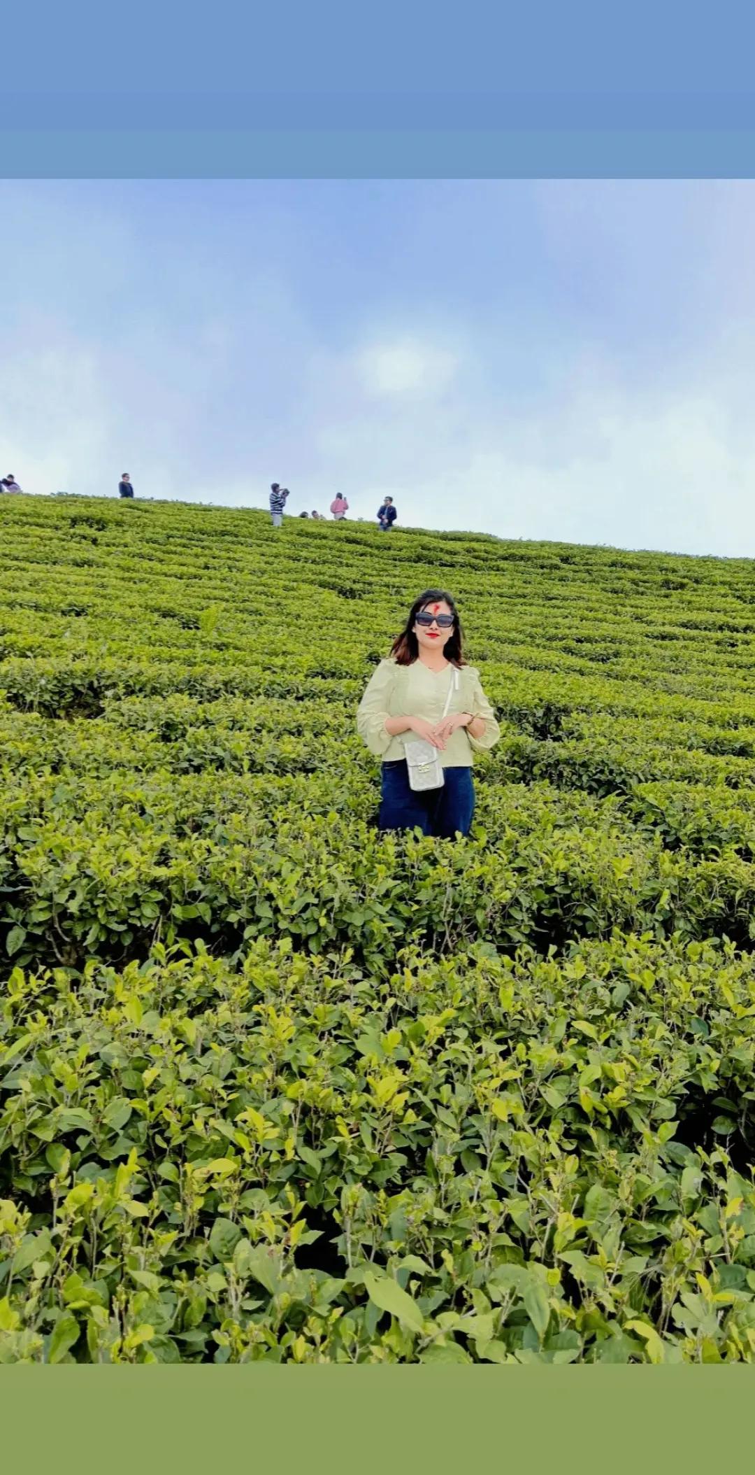 @mandira122