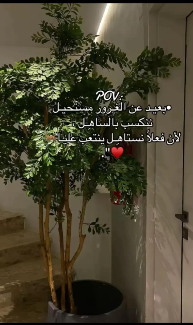 @AYOSHA_ALSOLY