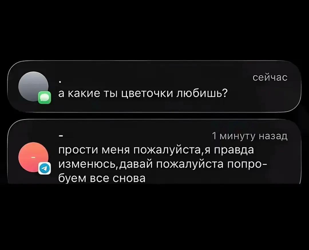 @тгк: в шапке профиля