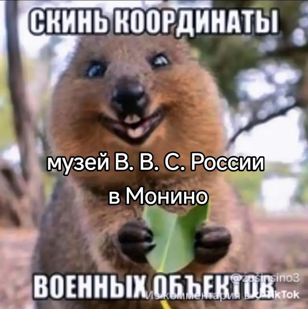 @споттер
