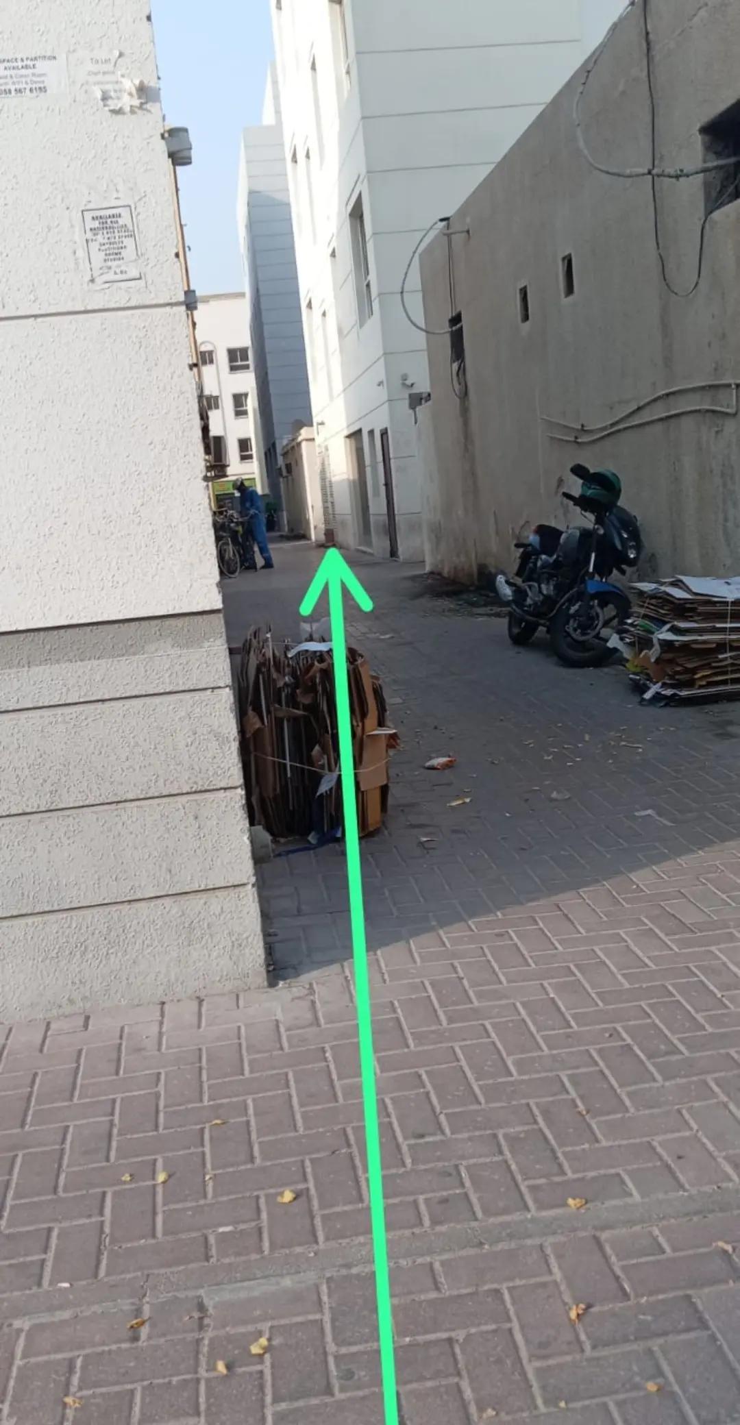 @محمد قاسم