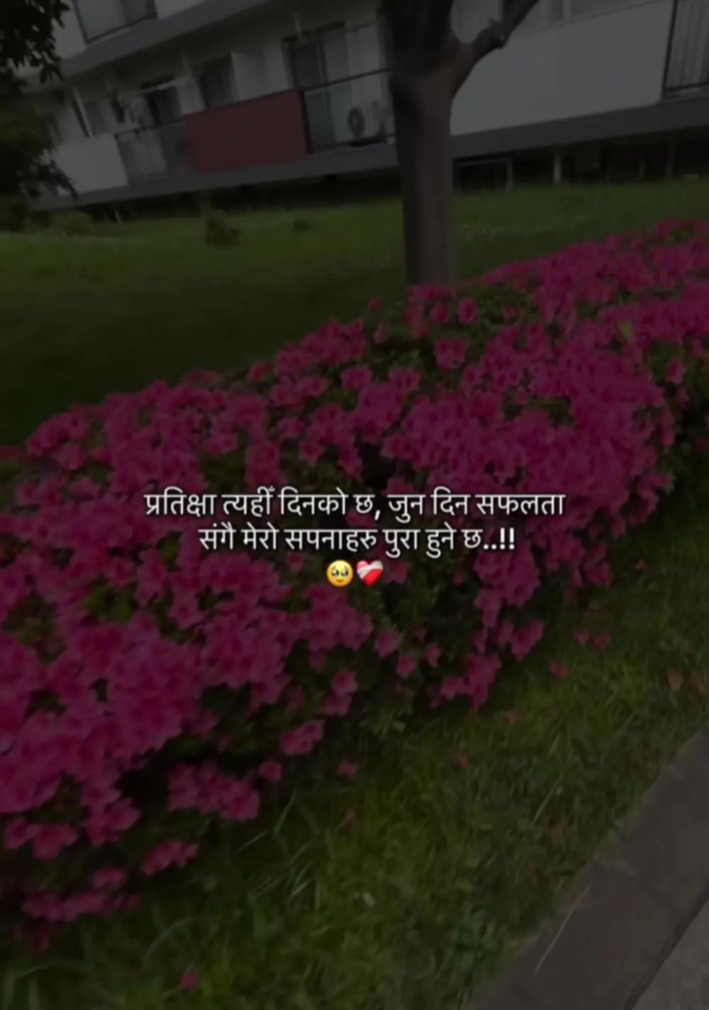 @Anju Chhetri
