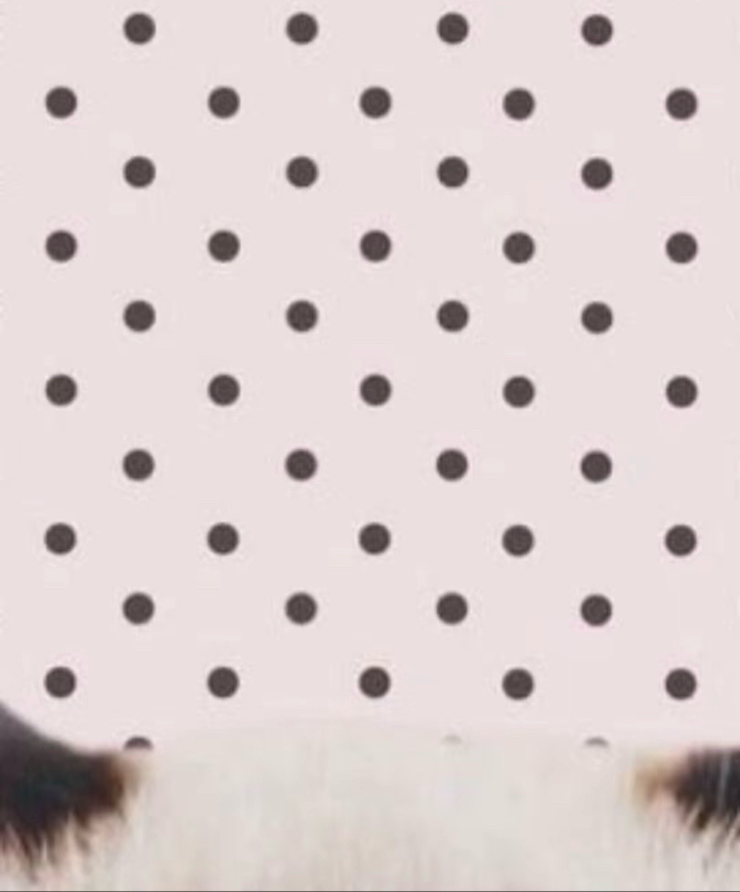 @เฟ ๐ช๐๐๐๐๐ เฟ