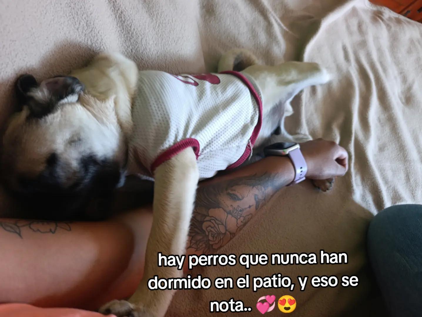 @✨Viri✨