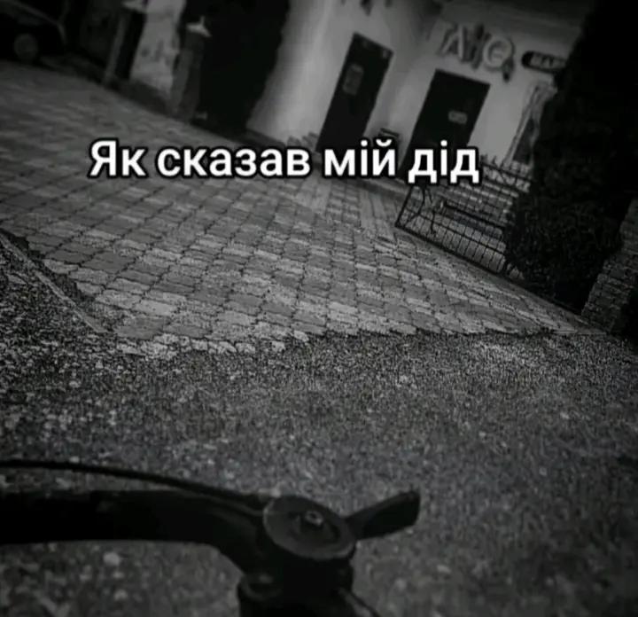 @koliapopovich
