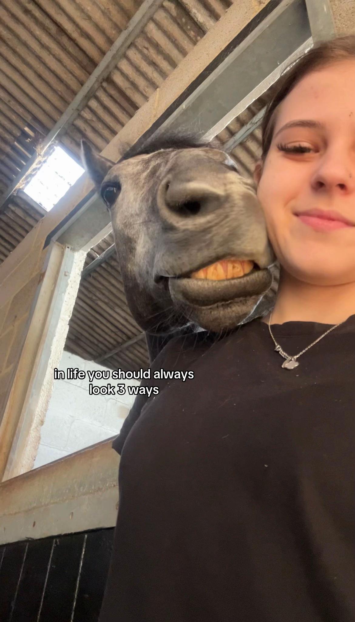@julia 🏇🏻