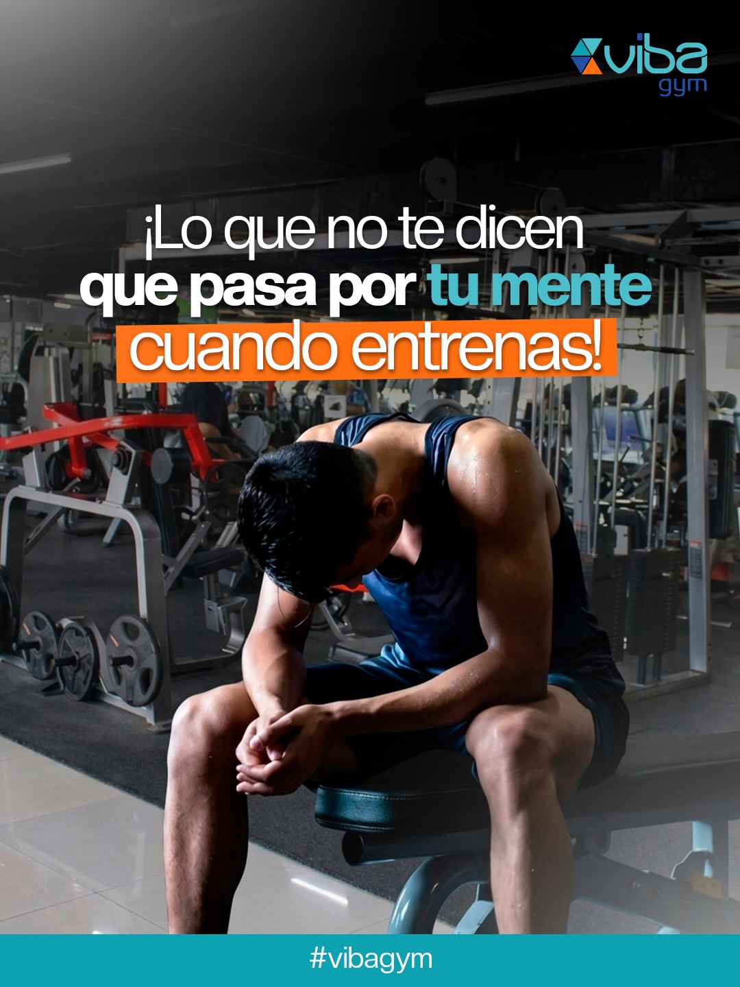 @Vibagym
