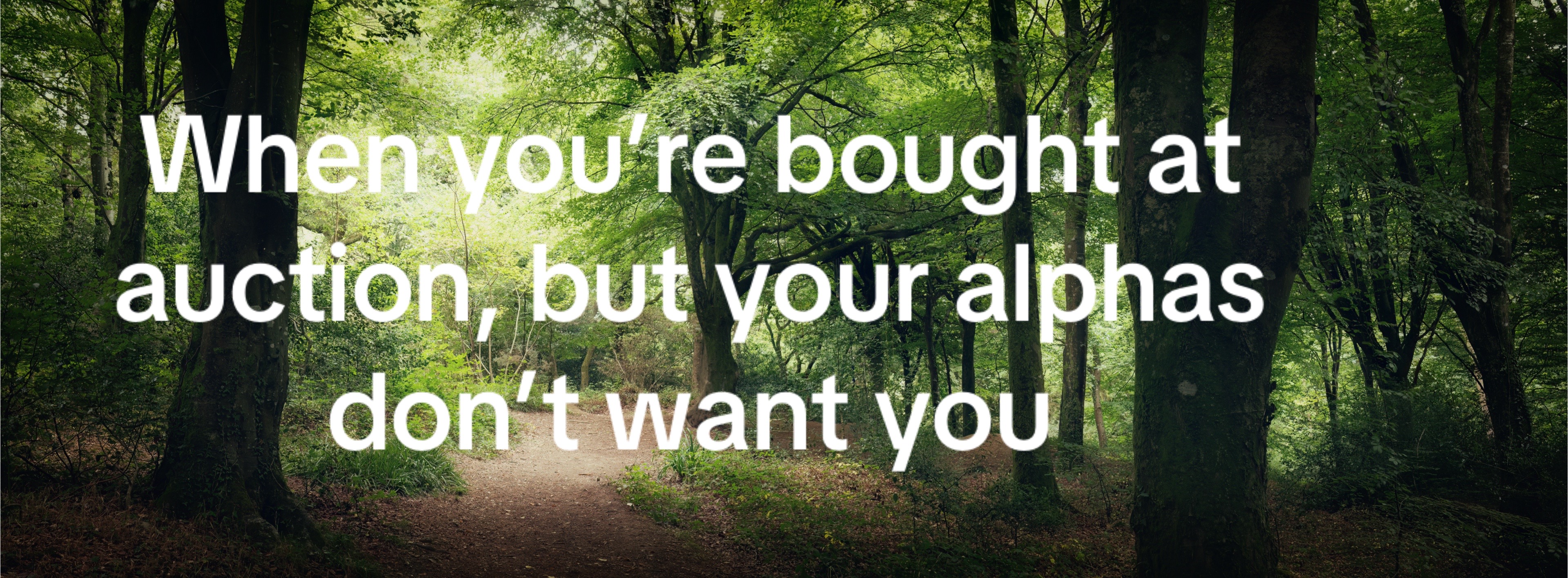 @Author Jenn Bullard