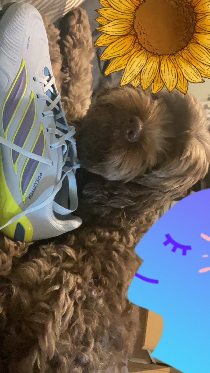 @xyloisthegoat1