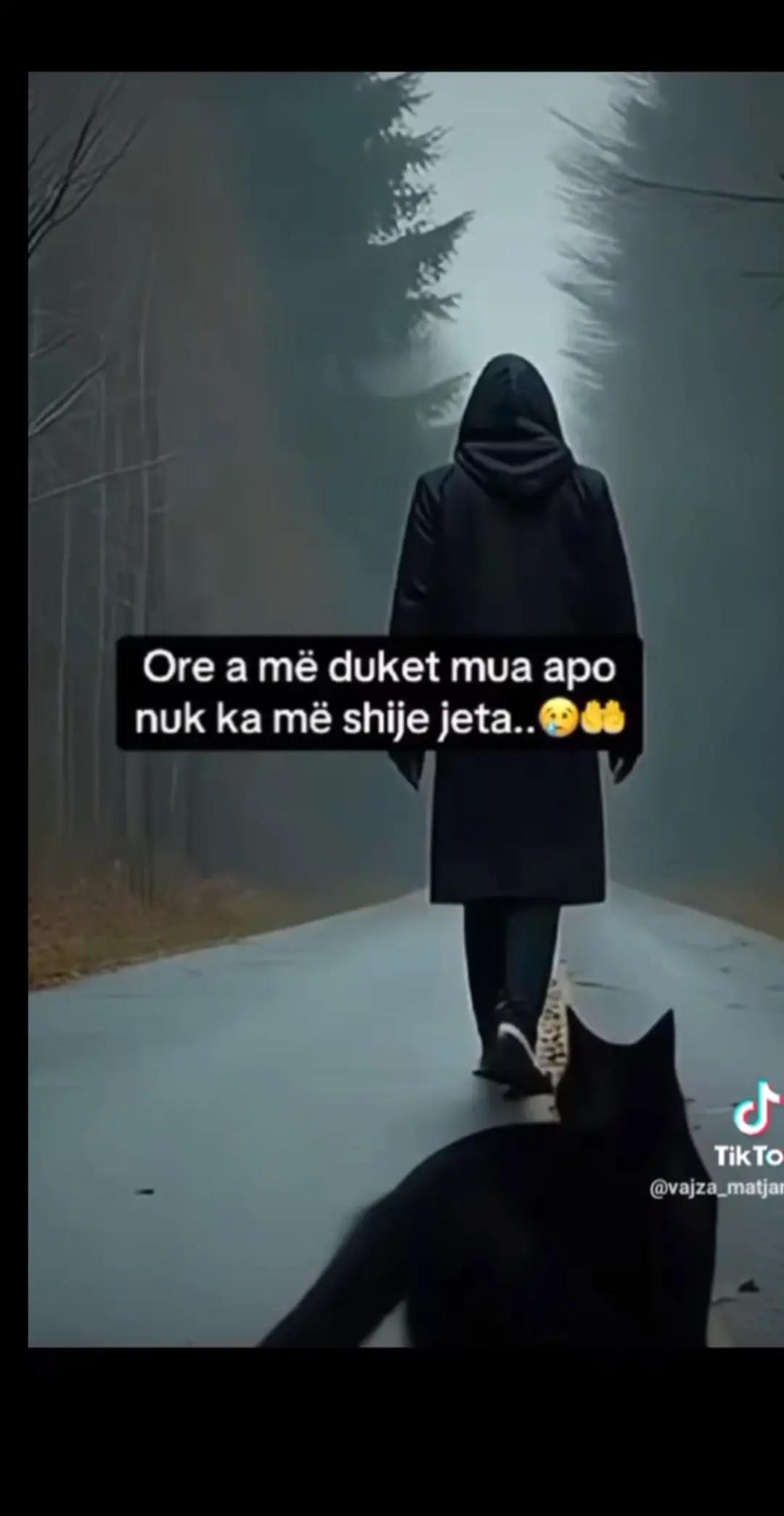 @Shpresa