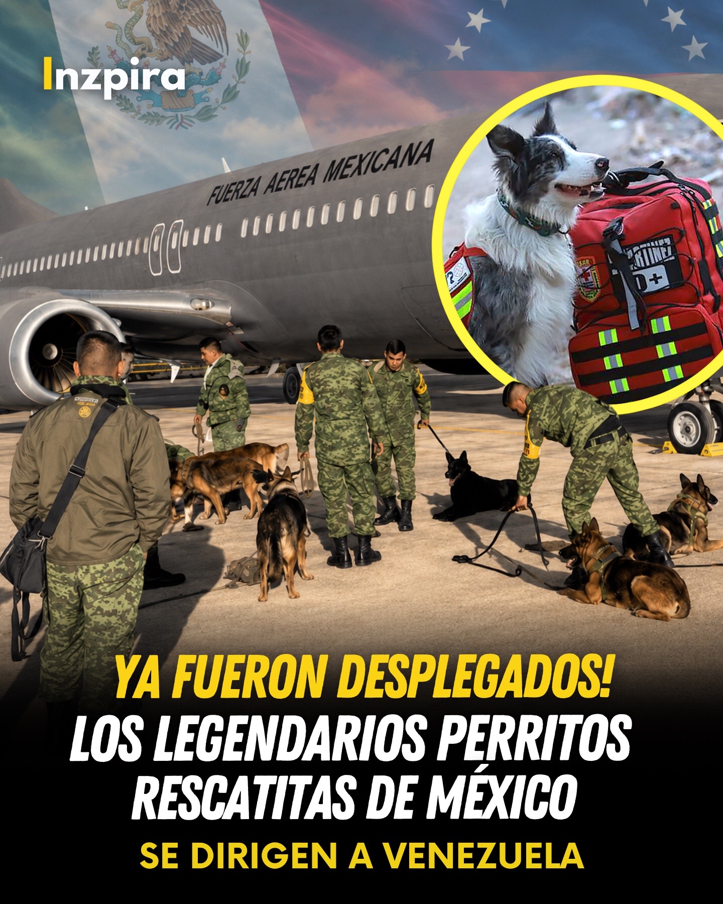 @inzpira.oficial