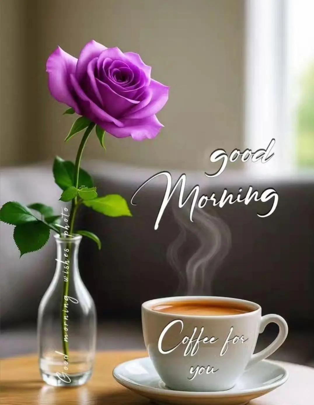 @Tahir kk