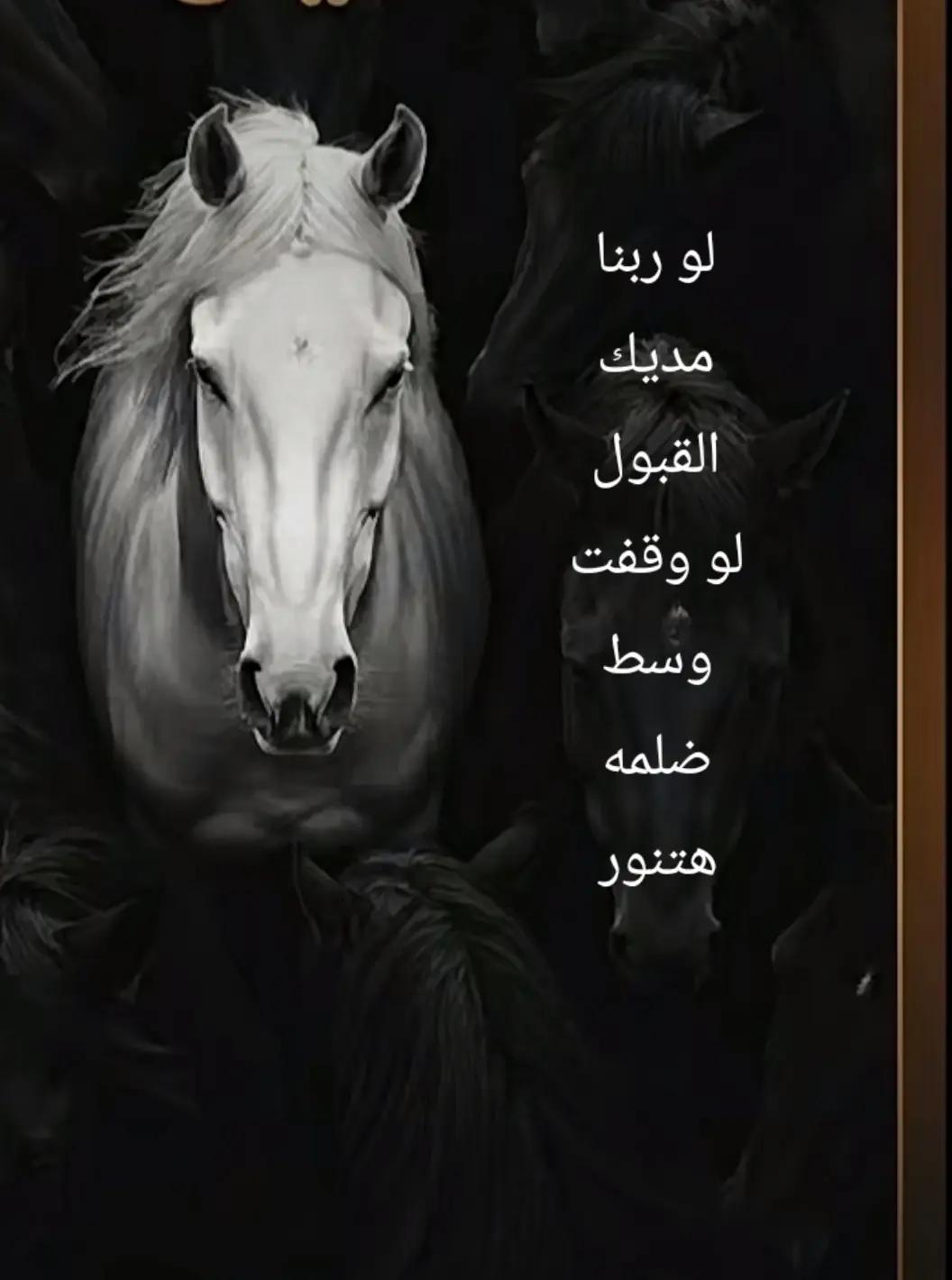 @ن والقلم