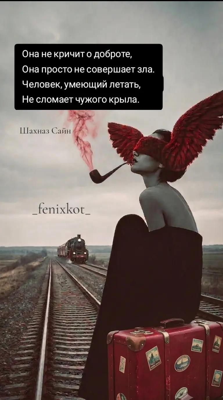 @La❤️koShka