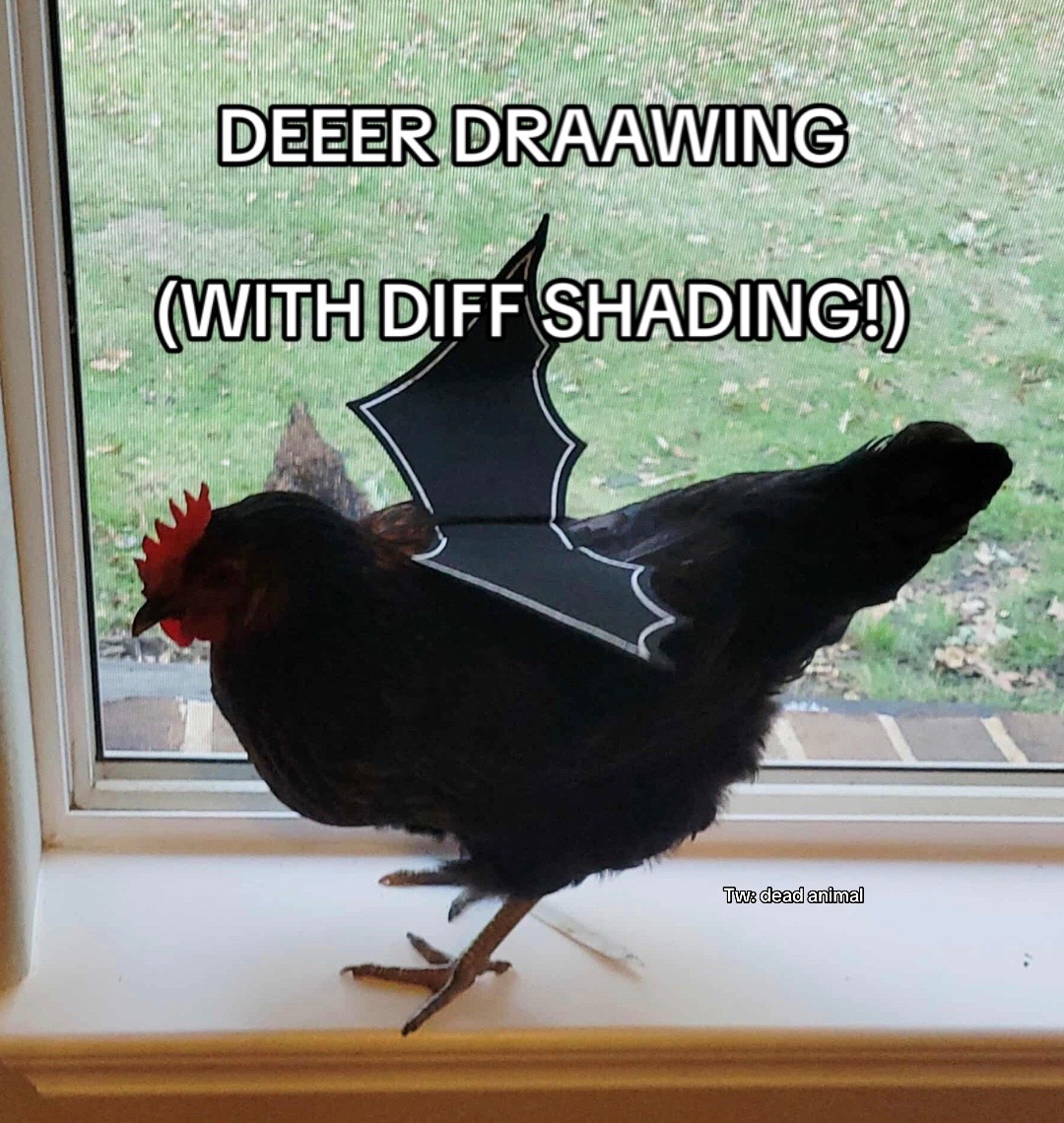 @🪼&hellip;..!!`★&acute; -&hellip; 🐓 &hellip;-`★&acute;!!&hellip;..🪼
