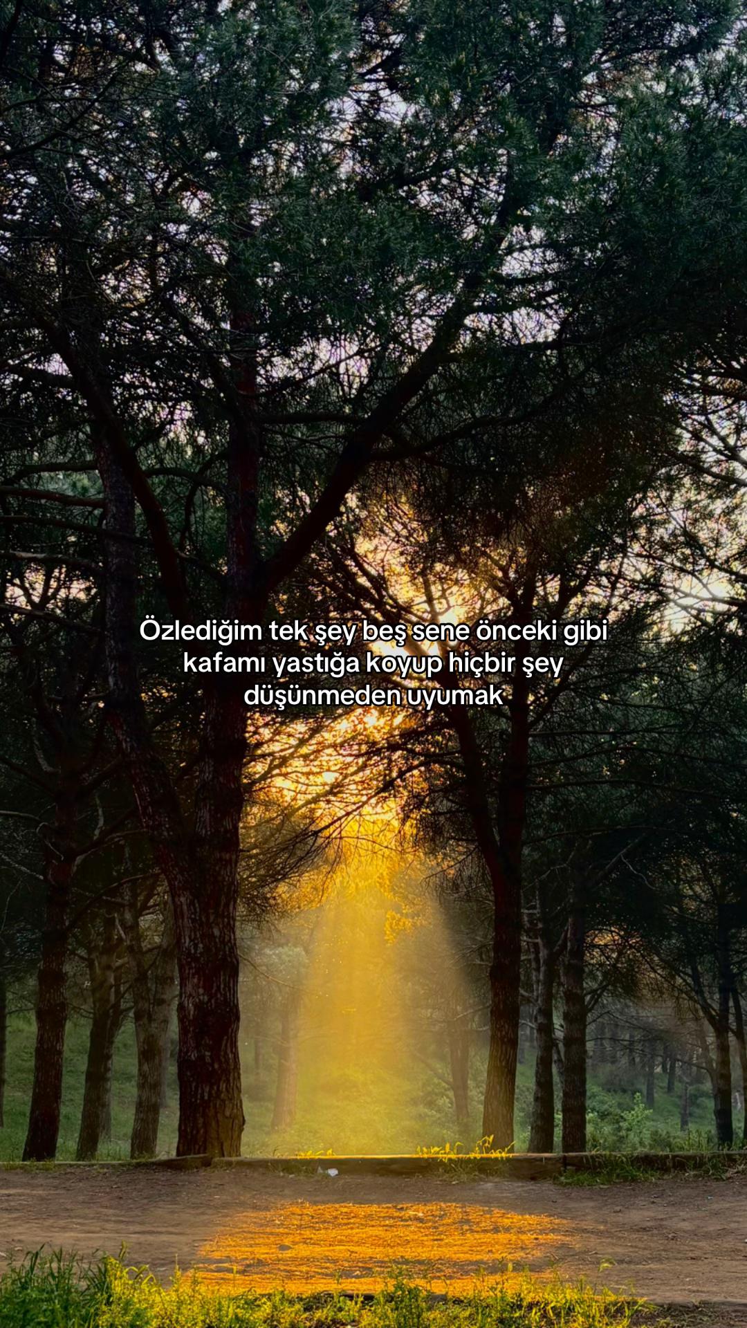 @Yaren soylu