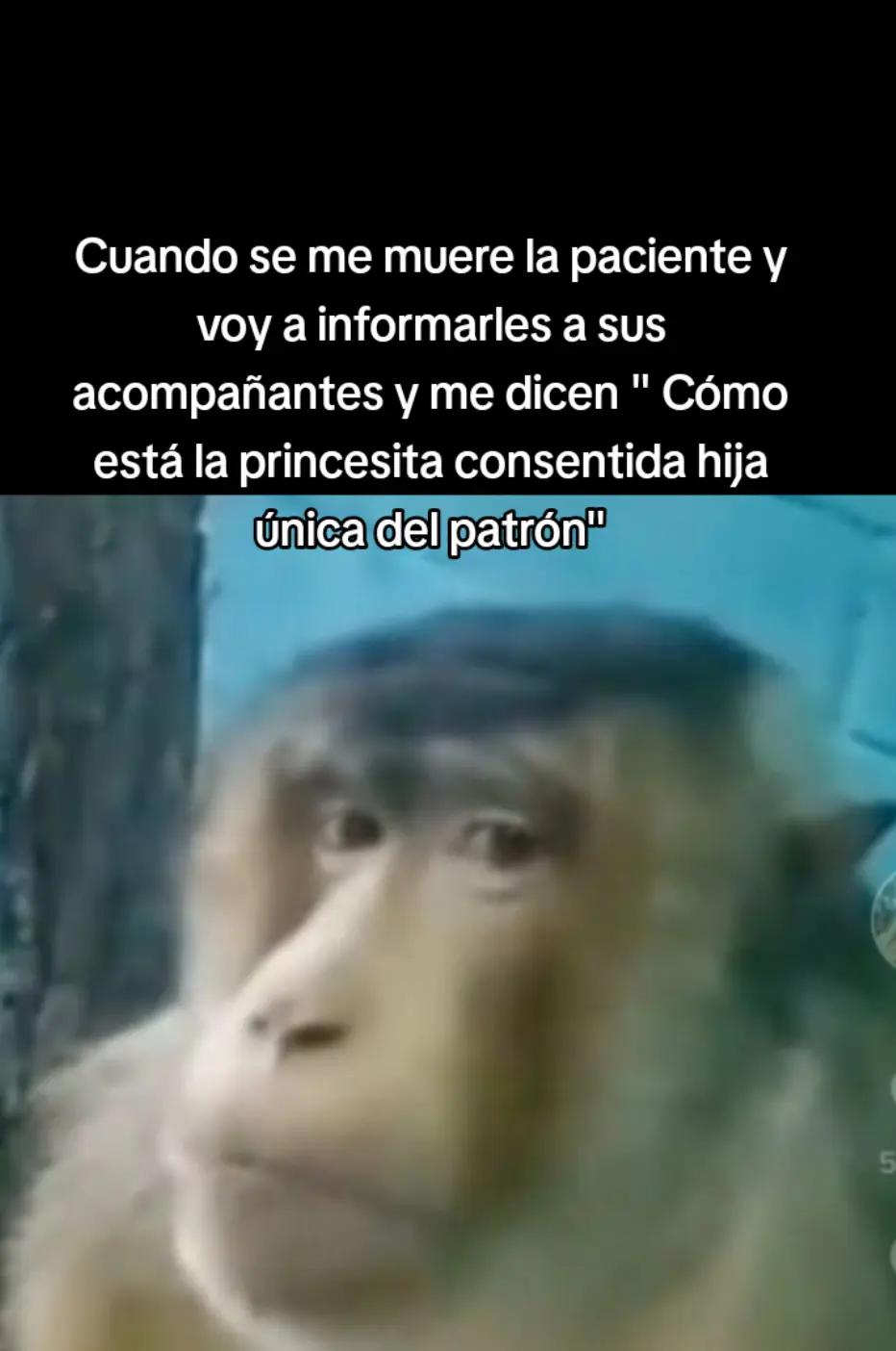@ɴᴇʟsᴏɴXᴅ⛎