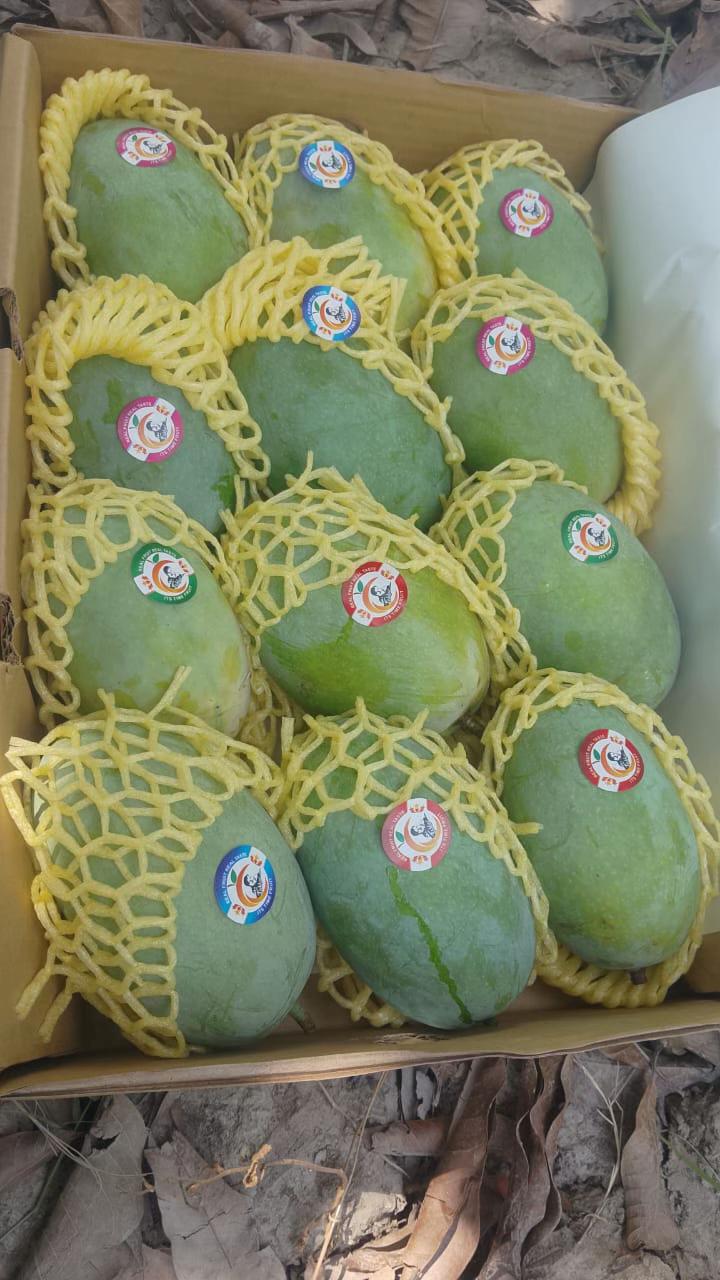 @ꜰᴀᴋʜᴀʀ