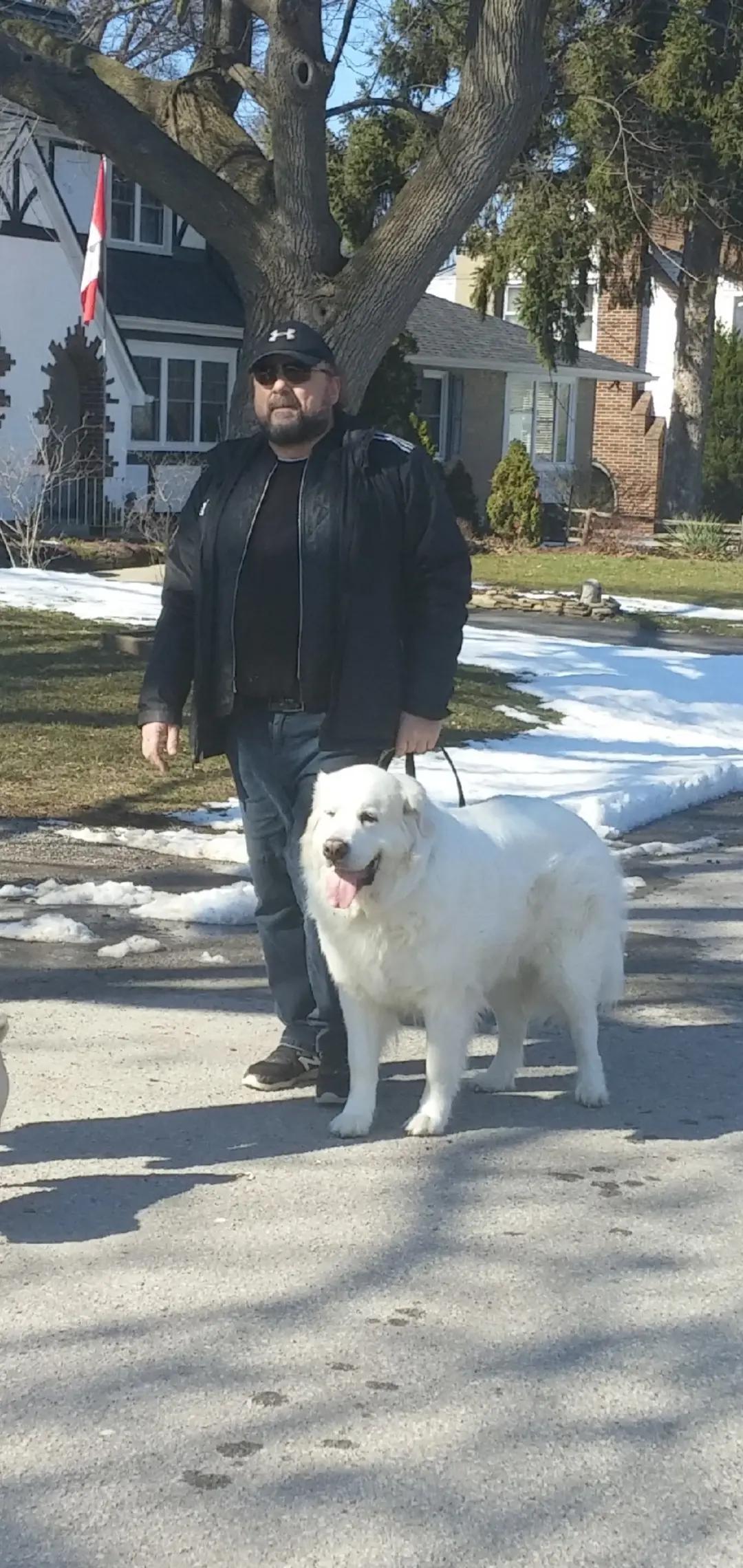 @MarioRossi🇨🇦