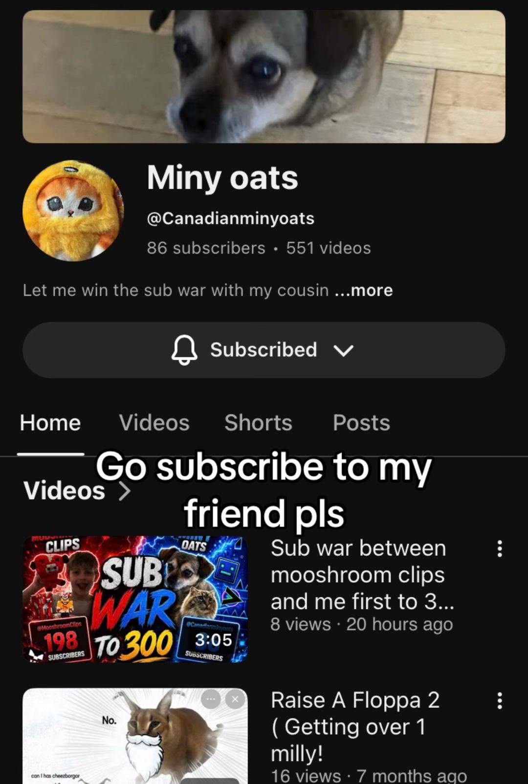 @hi