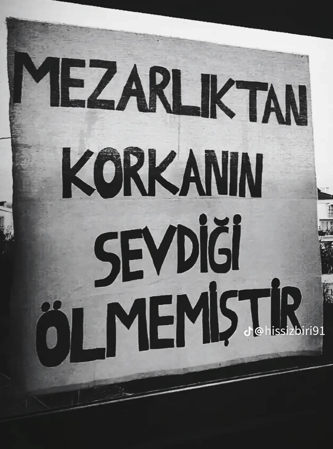 @mhmtasln