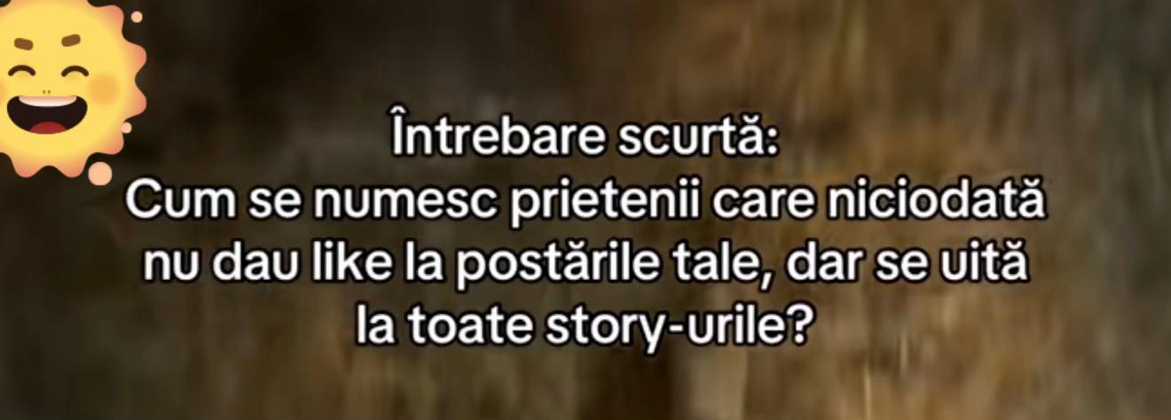 @Lavinia Matei