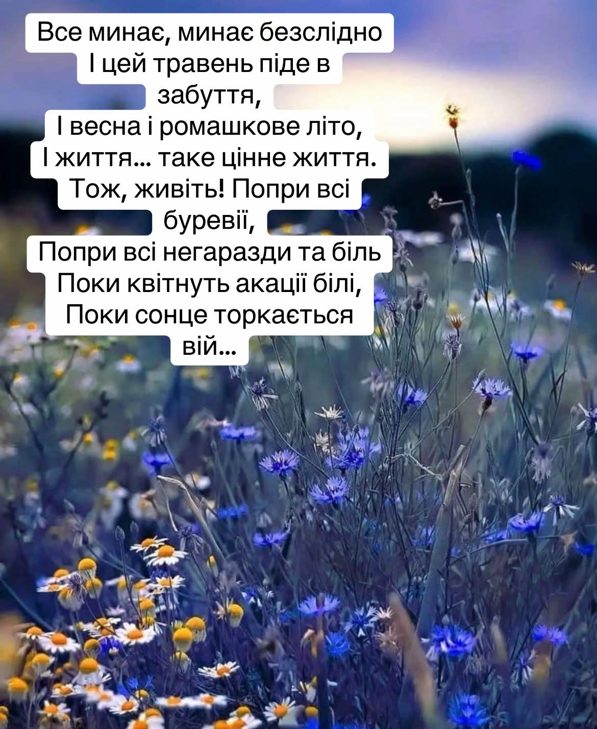 @NATALIA