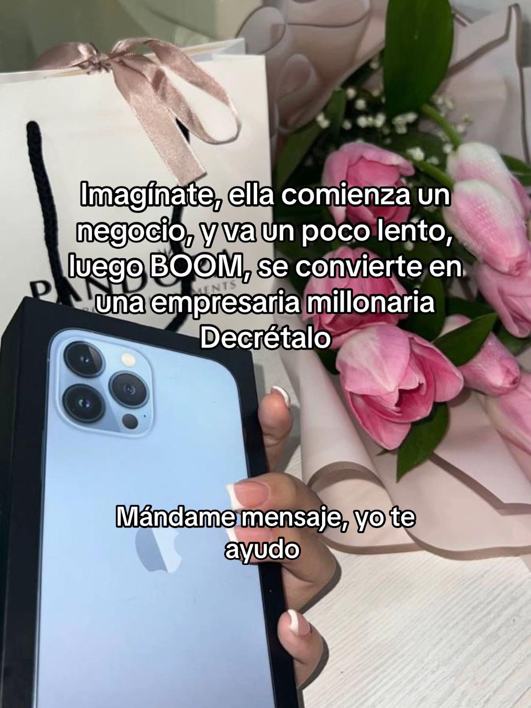 @empresariosdiamantes.uss