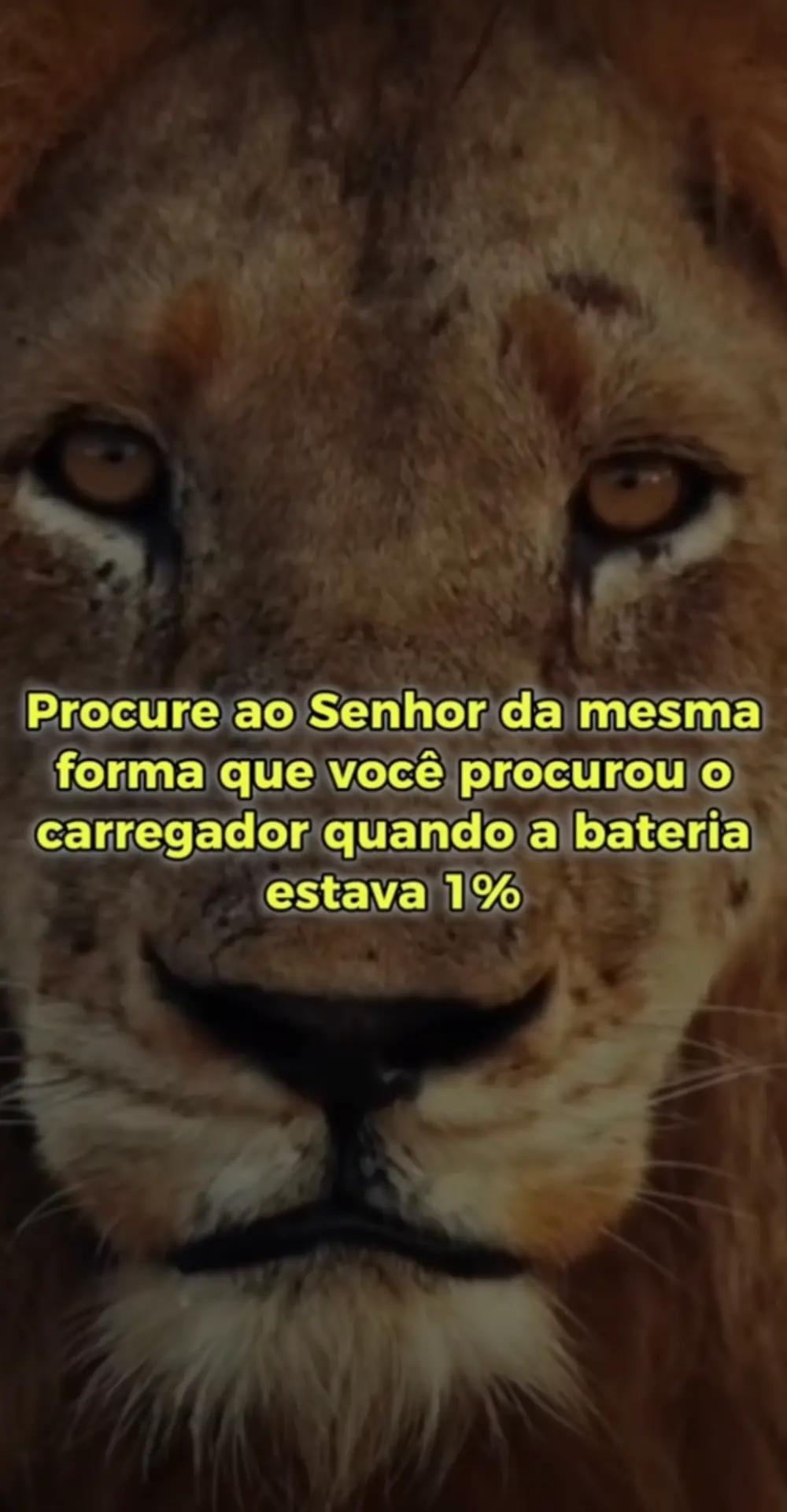 @aureliocampusano